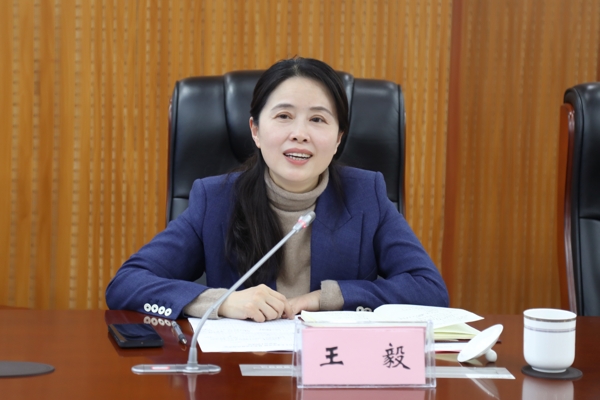 王毅主席_愛奇藝.jpg